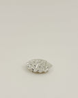 Sunrise Shell Pendent Necklace