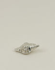 Conch Shell Pendent Necklace